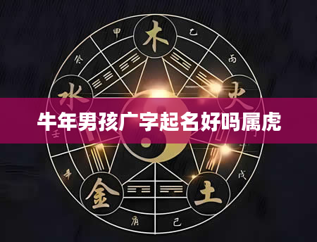 牛年男孩广字起名好吗属虎