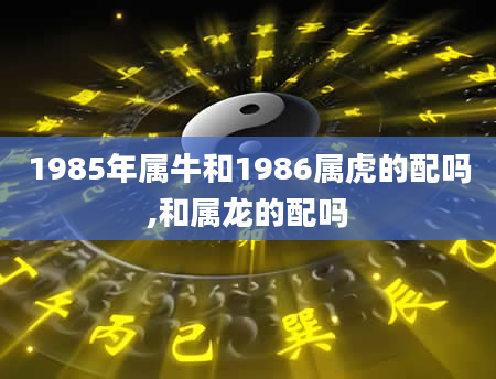 1985年属牛和1986属虎的配吗,和属龙的配吗