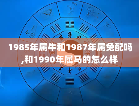1985年属牛和1987年属兔配吗,和1990年属马的怎么样