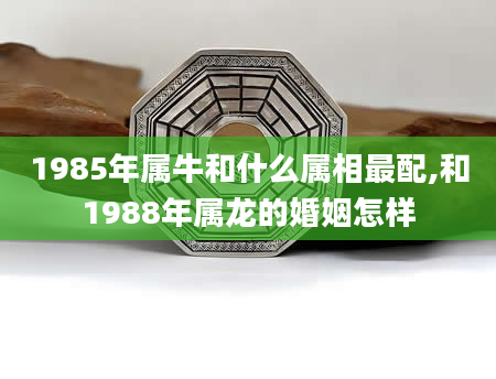 1985年属牛和什么属相最配,和1988年属龙的婚姻怎样