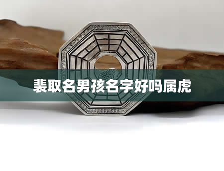 裴取名男孩名字好吗属虎