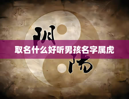 取名什么好听男孩名字属虎