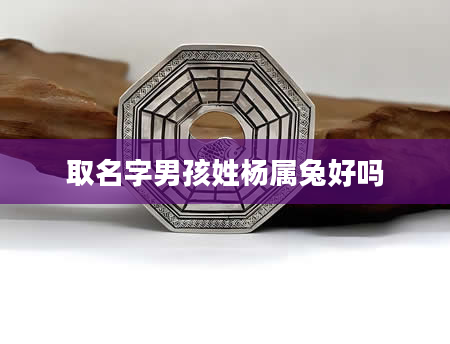 取名字男孩姓杨属兔好吗