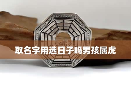 取名字用选日子吗男孩属虎