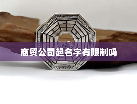 商贸公司起名字有限制吗