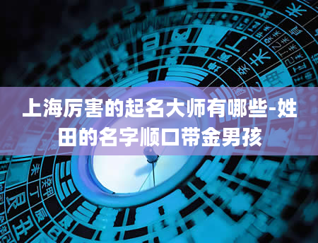 上海厉害的起名大师有哪些-姓田的名字顺口带金男孩
