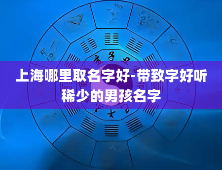 上海哪里取名字好-带致字好听稀少的男孩名字