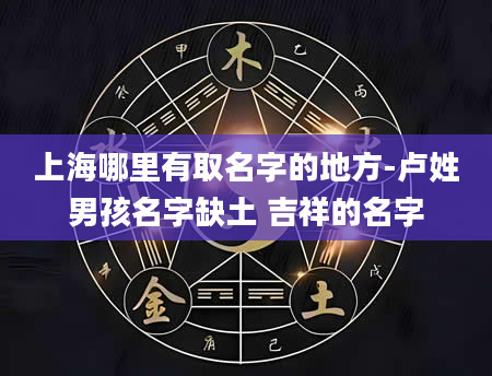 上海哪里有取名字的地方-卢姓男孩名字缺土 吉祥的名字