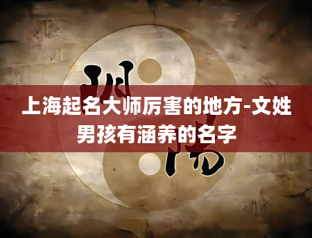 上海起名大师厉害的地方-文姓男孩有涵养的名字