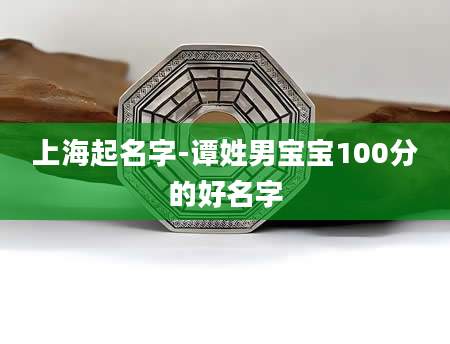 上海起名字-谭姓男宝宝100分的好名字
