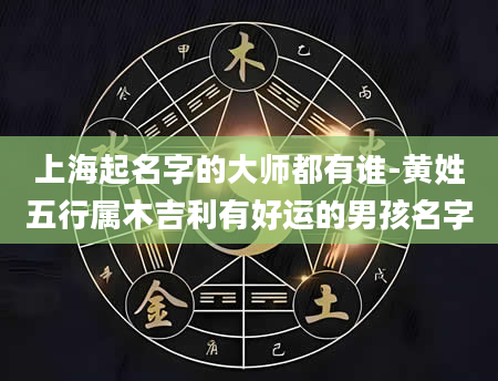 上海起名字的大师都有谁-黄姓五行属木吉利有好运的男孩名字