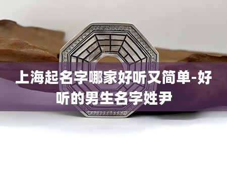 上海起名字哪家好听又简单-好听的男生名字姓尹