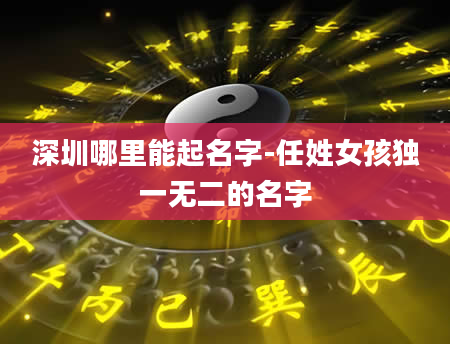 深圳哪里能起名字-任姓女孩独一无二的名字