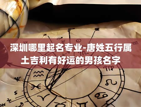 深圳哪里起名专业-唐姓五行属土吉利有好运的男孩名字