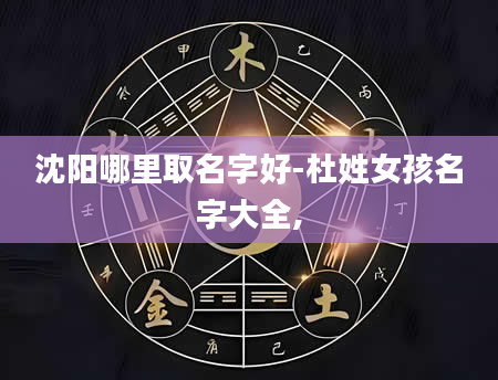 沈阳哪里取名字好-杜姓女孩名字大全,