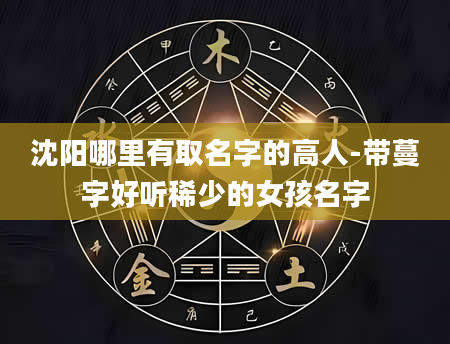 沈阳哪里有取名字的高人-带蔓字好听稀少的女孩名字