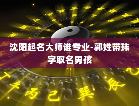 沈阳起名大师谁专业-郭姓带玮字取名男孩