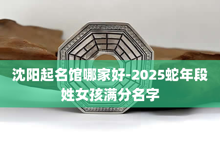 沈阳起名馆哪家好-2025蛇年段姓女孩满分名字
