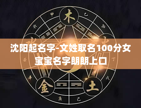 沈阳起名字-文姓取名100分女宝宝名字朗朗上口