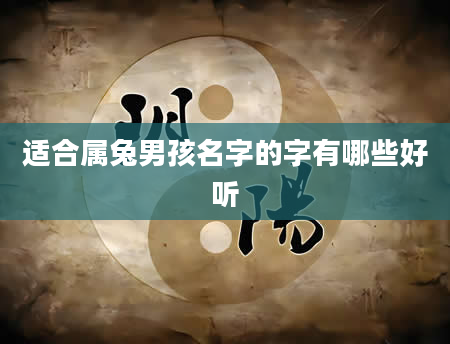 适合属兔男孩名字的字有哪些好听