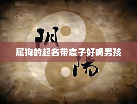属狗的起名带宸子好吗男孩