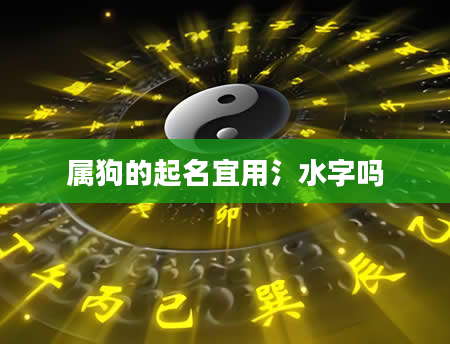 属狗的起名宜用氵水字吗