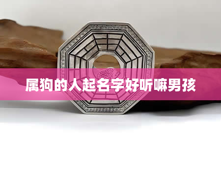 属狗的人起名字好听嘛男孩