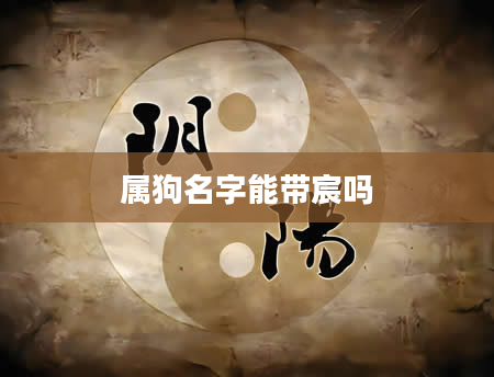属狗名字能带宸吗