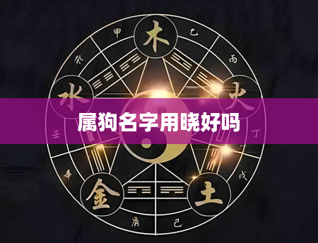 属狗名字用晓好吗