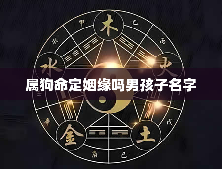 属狗命定姻缘吗男孩子名字