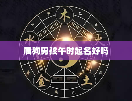 属狗男孩午时起名好吗
