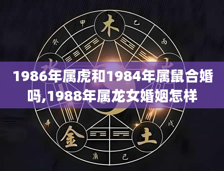 1986年属虎和1984年属鼠合婚吗,1988年属龙女婚姻怎样