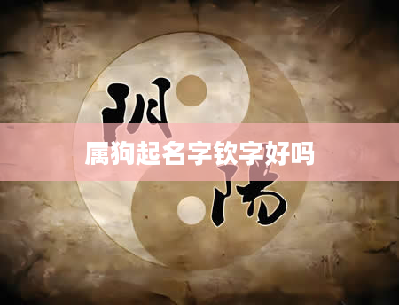 属狗起名字钦字好吗
