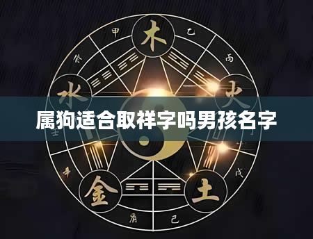属狗适合取祥字吗男孩名字