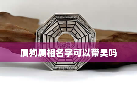 属狗属相名字可以带昊吗