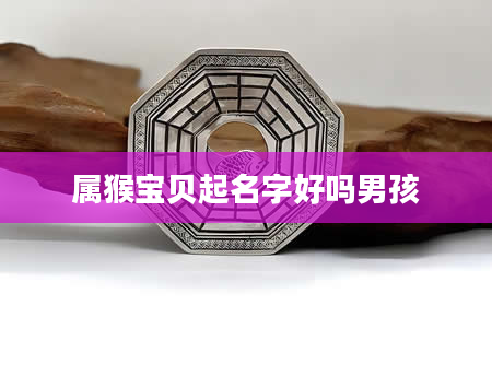 属猴宝贝起名字好吗男孩