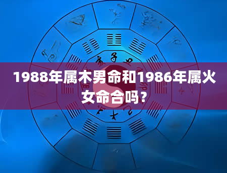 1988年属木男命和1986年属火女命合吗？