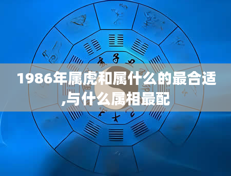 1986年属虎和属什么的最合适,与什么属相最配