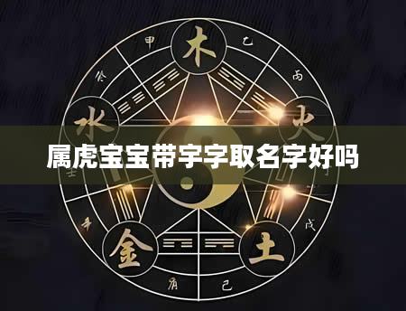 属虎宝宝带宇字取名字好吗