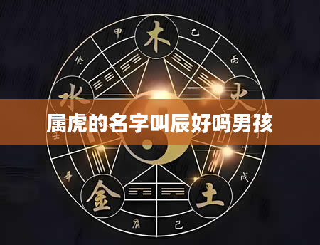 属虎的名字叫辰好吗男孩