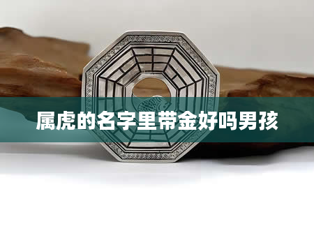 属虎的名字里带金好吗男孩