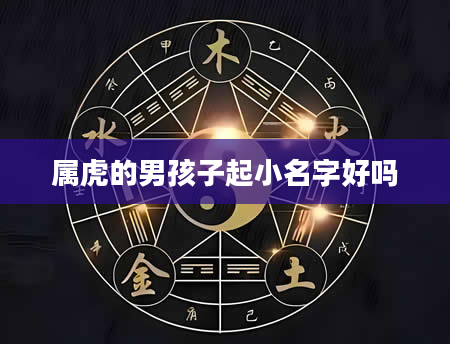 属虎的男孩子起小名字好吗