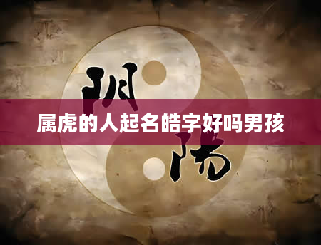 属虎的人起名皓字好吗男孩