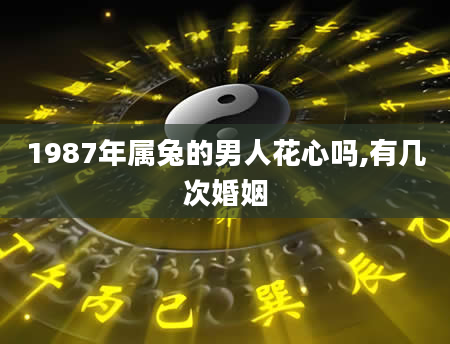 1987年属兔的男人花心吗,有几次婚姻