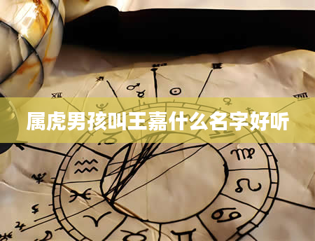 属虎男孩叫王嘉什么名字好听