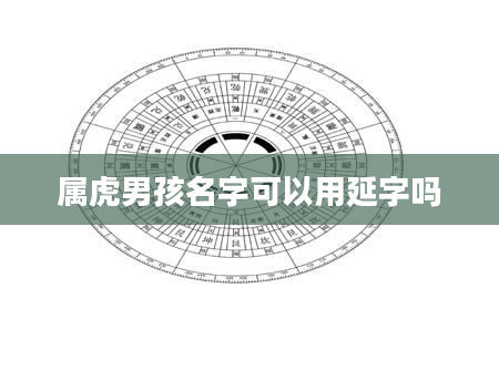 属虎男孩名字可以用延字吗