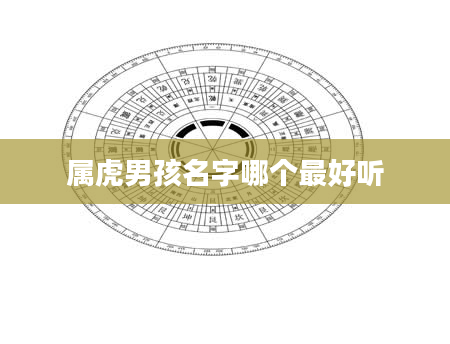 属虎男孩名字哪个最好听