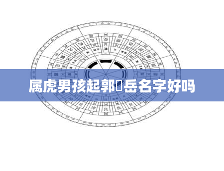 属虎男孩起郭璟岳名字好吗