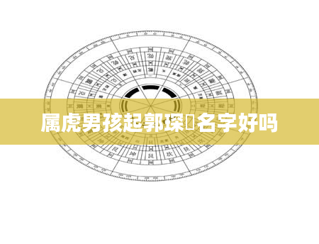 属虎男孩起郭琛珝名字好吗