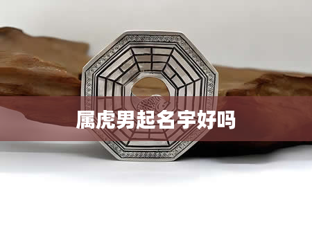 属虎男起名宇好吗